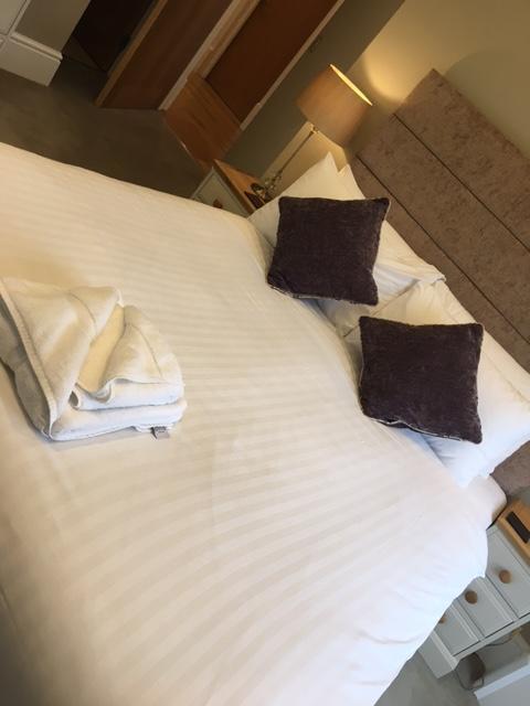 Llys Yr Onnen Apartamento *